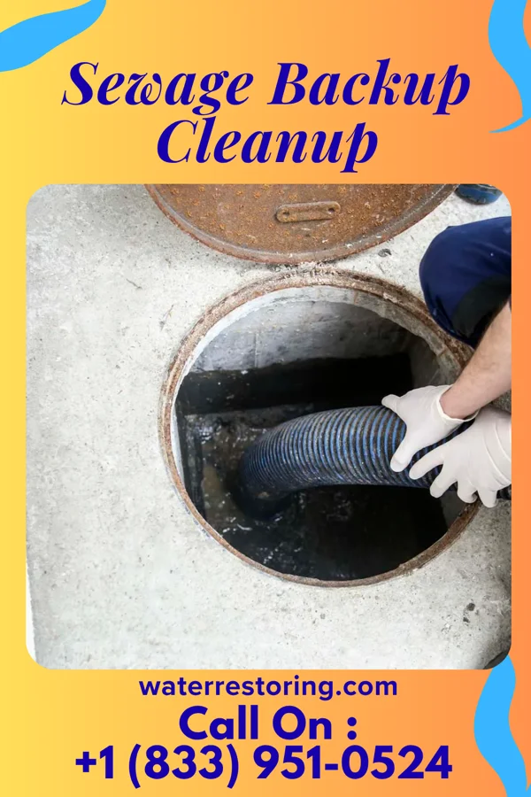 Sewage Backup Cleanup in Aurora, IL